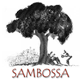 Sambossa - Album cover